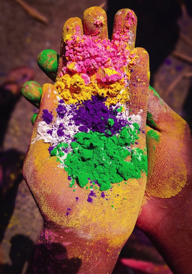 Holi Colour Powder NZ